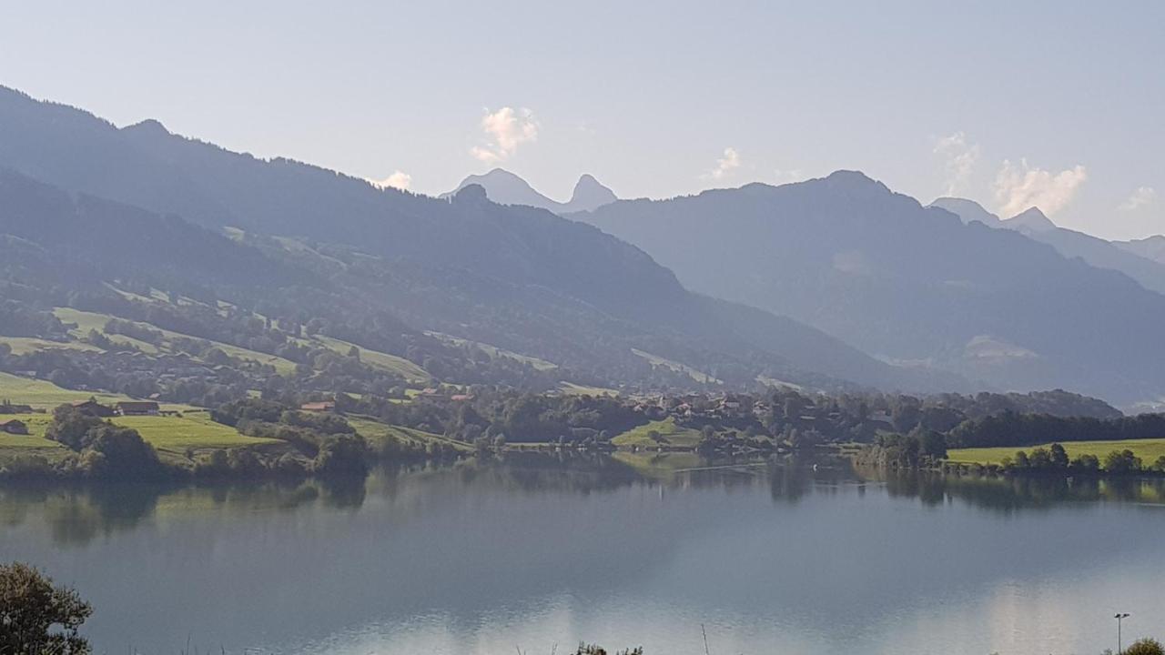 Petite Maison Sur La Colline Du Gibloux: 1Chambre,1 Salon Et Salle De Bain Prives Au Rez De Chausse, Piscine Exterieur Et Bbq , Le Châtelard-Montreux Exterior photo