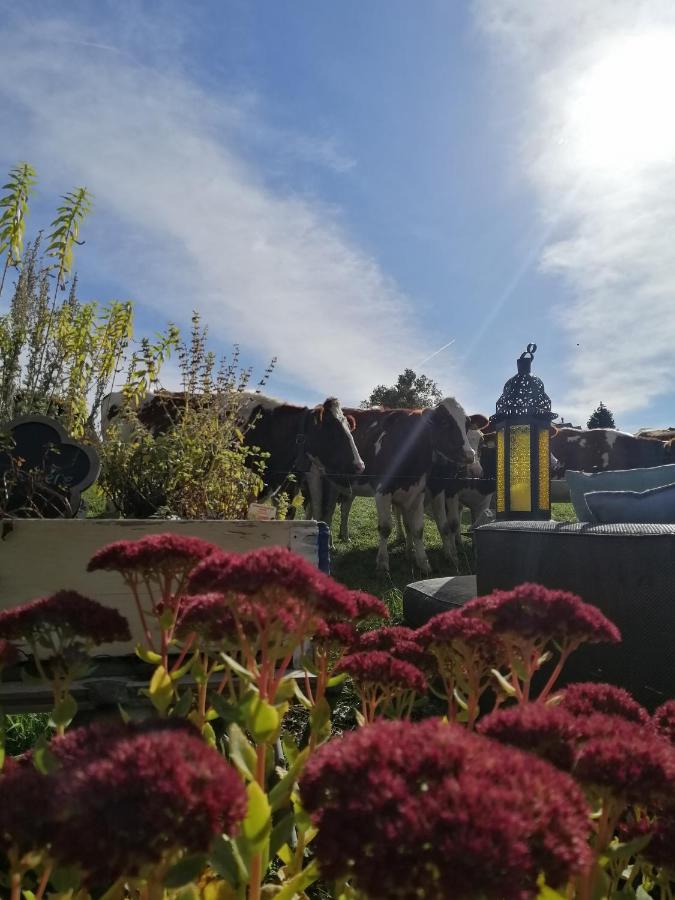 Petite Maison Sur La Colline Du Gibloux: 1Chambre,1 Salon Et Salle De Bain Prives Au Rez De Chausse, Piscine Exterieur Et Bbq , Le Châtelard-Montreux Exterior photo